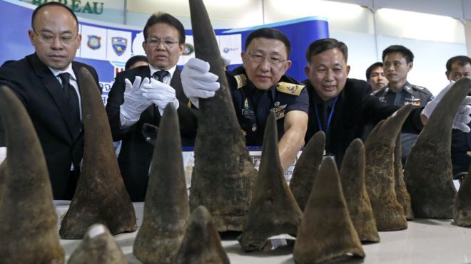 Тайские таможенники показывают захваченные рога носорога во время пресс-конференции
