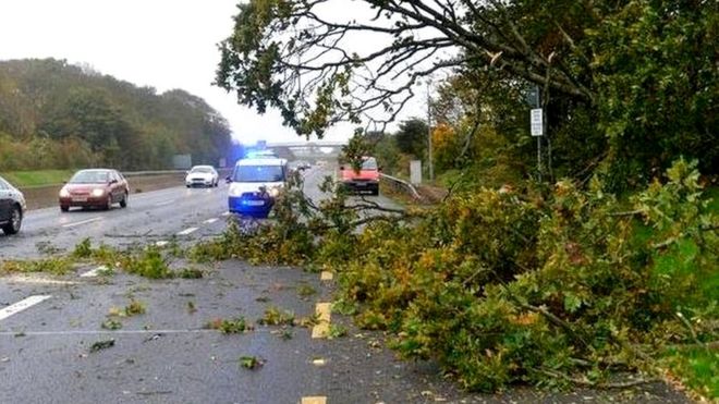 Упавшее дерево частично перекрывает дорогу на Дороге Баллибогган в Дублине