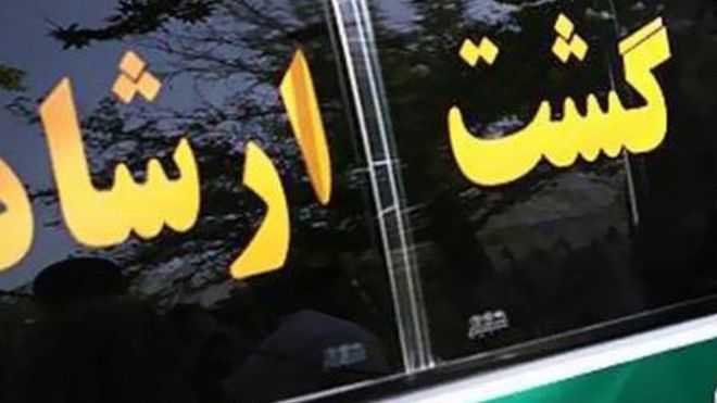 گزارش‌های متعددی تاکنون از ضرب و جرح شهروندان ایرانی توسط ماموران گشت ارشاد منتشر شده است