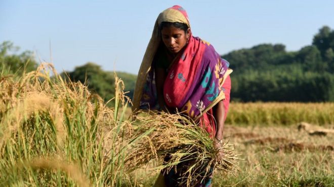 किसान आंदोलन: कृषि क़ानूनों पर जारी विरोध में कहाँ हैं भूमिहीन महिला किसान?
