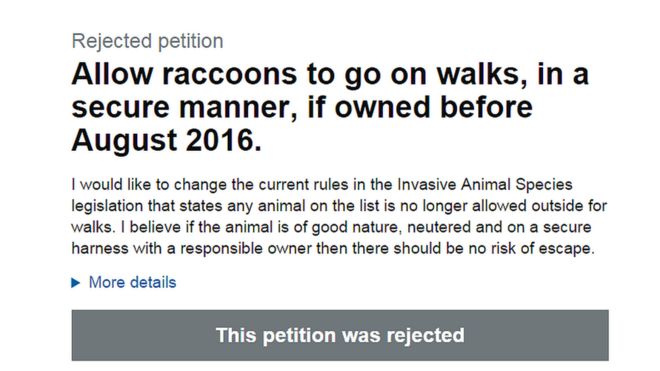Петиция от владельца енота с просьбой изменить правила IAS ЕС, которая запрещает перечисленным животным ходить на прогулку.