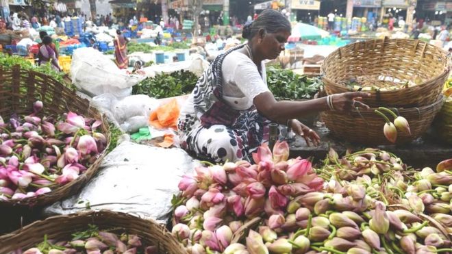 கோயம்பேடு பூ மார்க்கெட்டில் தாமரை