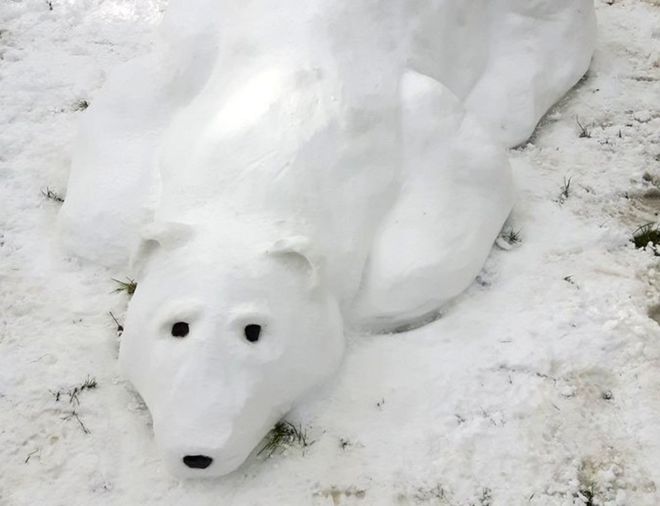 Снежный полярный медведь