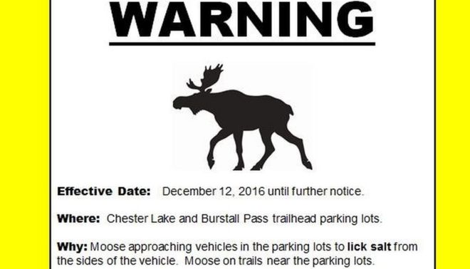 Плакат с предупреждением о лосях