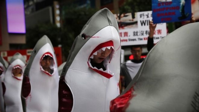 Активисты, одетые в окровавленные костюмы акул, принимают участие в акции протеста, чтобы привлечь внимание к торговле акульими плавниками в районе Козуэй Бэй в Гонконге (30 января 2016 года)