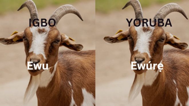 Asụsụ Igbo na Yoruba