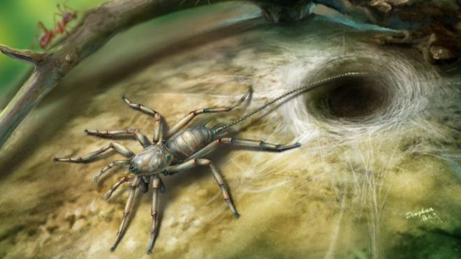 (ภาพจากฝีมือศิลปิน) Chimerarachne yingi มีหางและมีบรรพบุรุษร่วมกันกับแมงมุม คาดว่ามีชีวิตอยู่เมื่อราวหนึ่งร้อยล้านปีก่อน