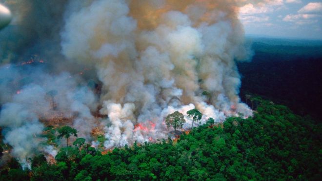 அமேசான் காட்டுத்தீ: என்ன நடக்கிறது அங்கே? நாம் ஏன் கவலைக் கொள்ள வேண்டும்?