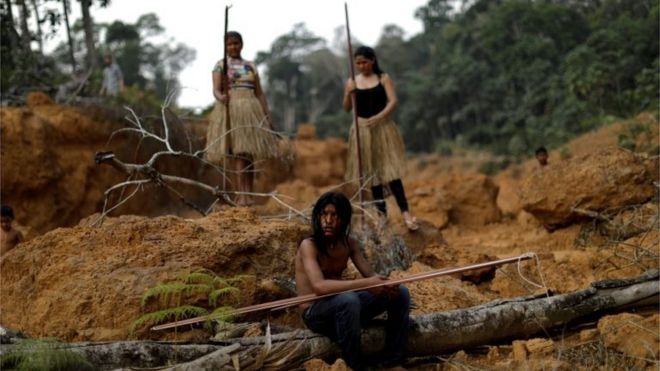 Integrantes da tribo Mura mostram uma área desmatada em suas terras
