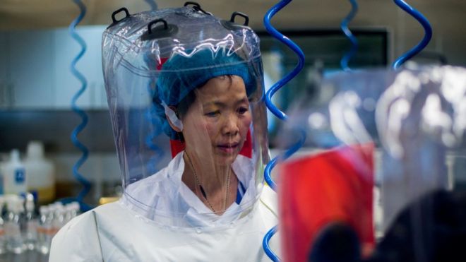 55歲的石正麗是武漢病毒所的研究員，她成為諸多新冠病毒陰謀論的核心。