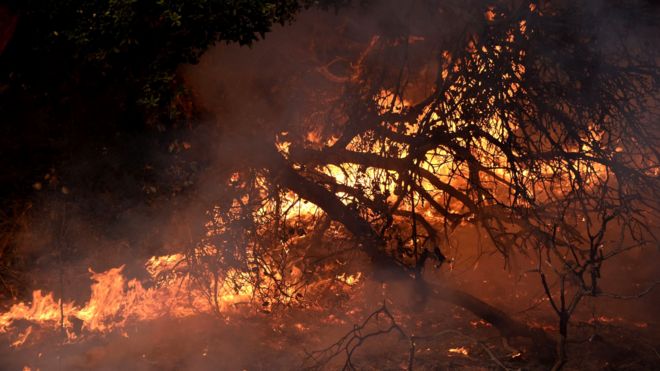 カリフォルニア州の山火事 強風で被害拡大の恐れ cニュース