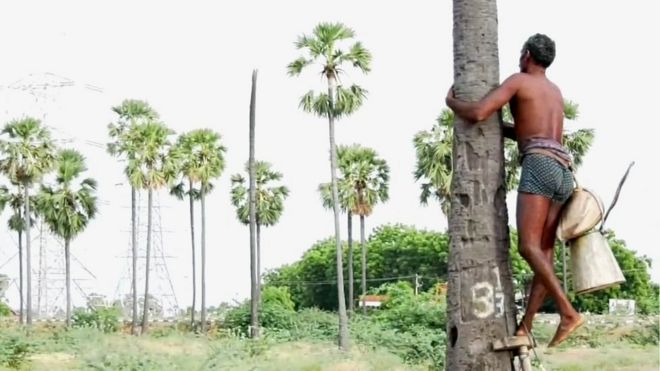 பள்ளிக்கூடம் நடத்த பனை மரம் ஏறும் கிராம மக்கள்