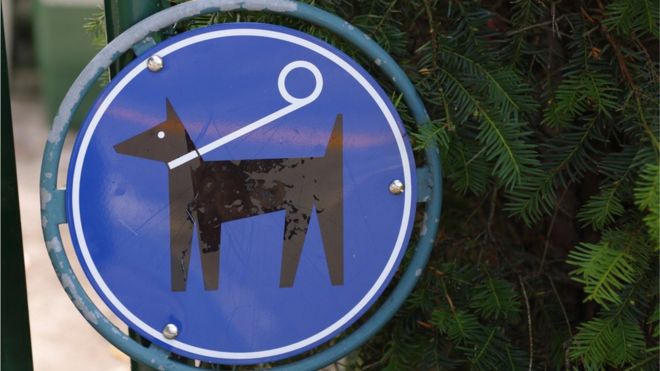 Знак, показывающий собаку на поводке
