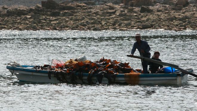 Отправьте фото рыбаков, управляющих лодкой на острове Баэнньон, 15 июня 2010 года, Южная Корея.