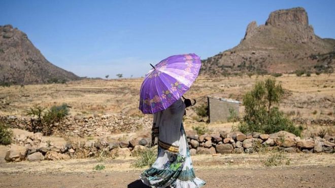 Tigray