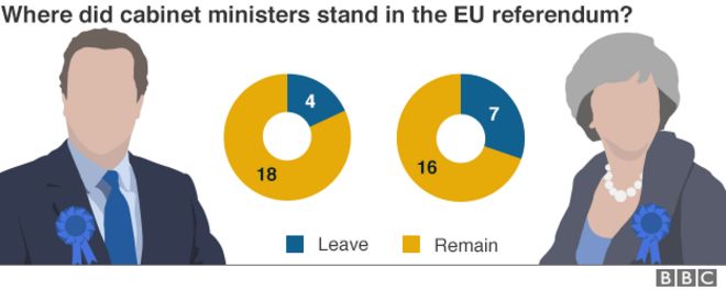 Диаграмма, показывающая распределение министров, проголосовавших за то, чтобы оставить или остаться на референдуме ЕС