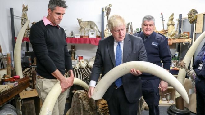 Министр иностранных дел Борис Джонсон и игрок в крикет Кевин Питерсен осматривают конфискованную слоновую кость в Хитроу