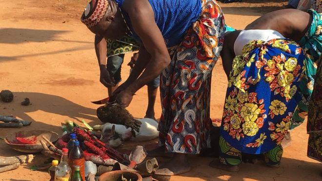 Мужчина убивает курицу во время церемонии благодарения в Уиде, Бенин