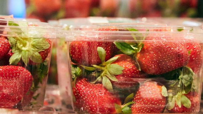 Australia Fruit Scare Needles Found In Strawberries In New Zealand c News