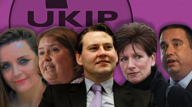 Кандидаты в лидеры UKIP