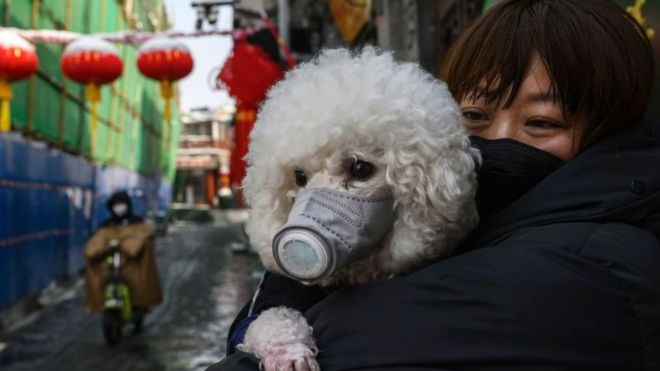 Китайская женщина держит свою собаку (которая также носит защитную маску), когда они стоят на улице 7 февраля 2020 года в Пекине, Китай.