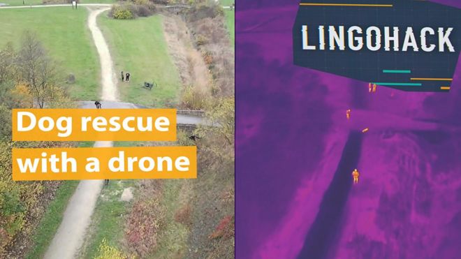 Aprenda inglês com reportagem sobre drone equipado com câmera termográfica que já encontrou mais de 160 cachorros perdidos em florestas britânicas.