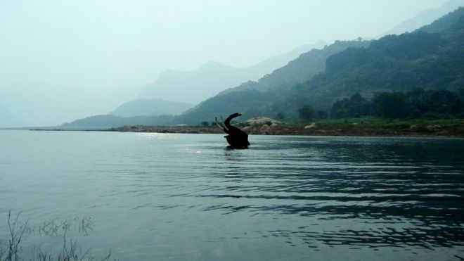 பிபிசி தமிழ் நேயர்களின் மெய்சிலிர்க்க வைக்கும் வன உயிரின படங்கள்