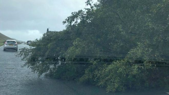 Дерево упало на A591 между Кесвиком и Грасмиром