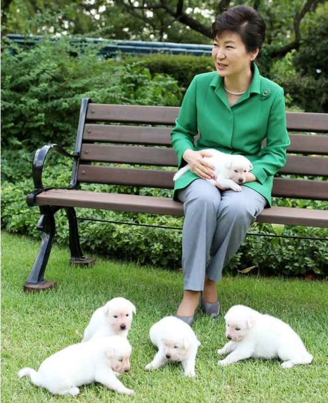 Бывший президент Южной Кореи Пак Кын Хе и ее домашние собаки изображены на этой раздаточной картине, предоставленной Президентским голубым домом и выпущенной News1 20 сентября 2015 года.