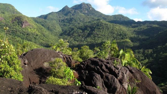 Маэ - самый большой остров Сейшельского архипелага