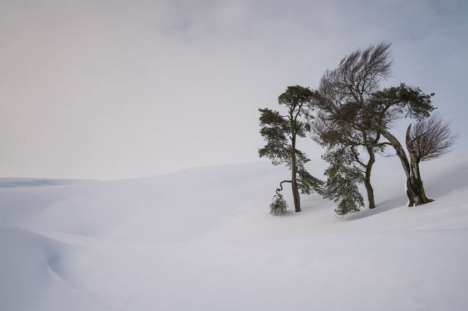 Стоя в снегу, Leadhills, Южный Ланаркшир, Шотландия