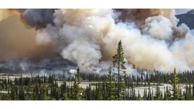 Incendio forestal en Alberta, Canadá