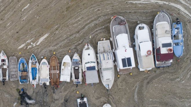 Fishing boats covered by sea snot