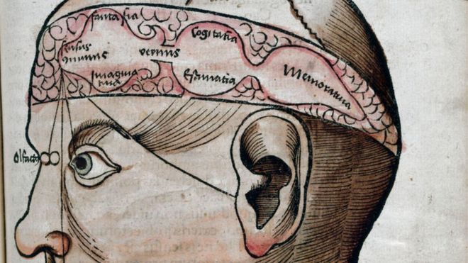 Anatomía del cerebro, 1535