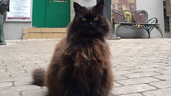 Cat Stolen From Museum (But Found Later)