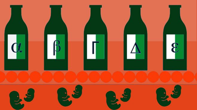 Gráfico con botellas de Alfa, Beta, Gamma, Deltas y Épsilon y fetos