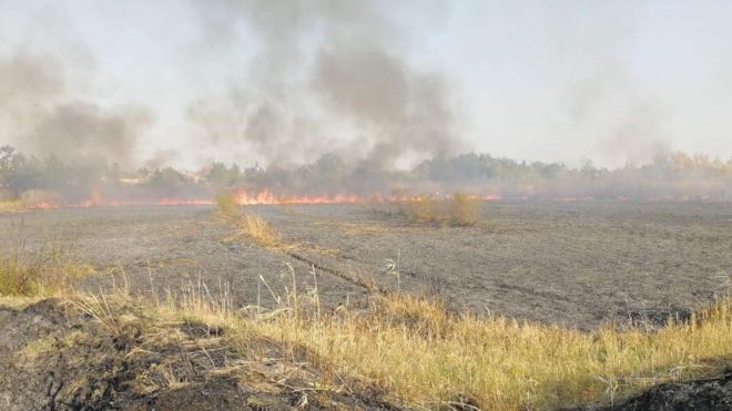 Пожар крај Шајкаша, 16.10.2018.