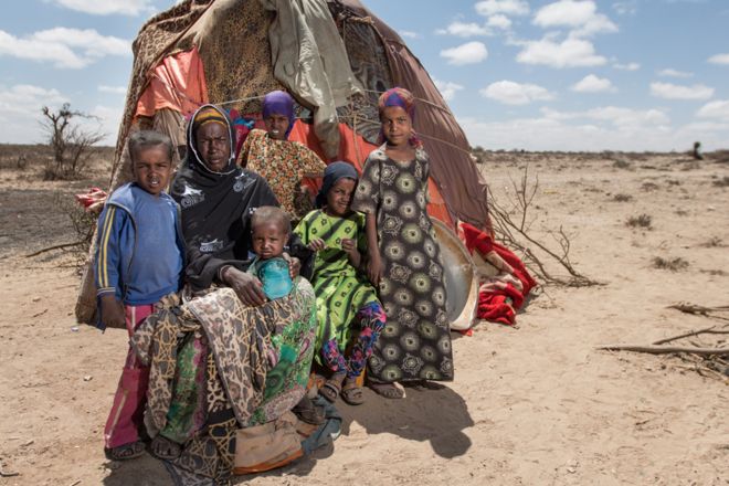 Haali Noor left the drought-effected area in the east of Somaliland with her five children and a small number of remaining livestock and settled in the western area of near Dilla,