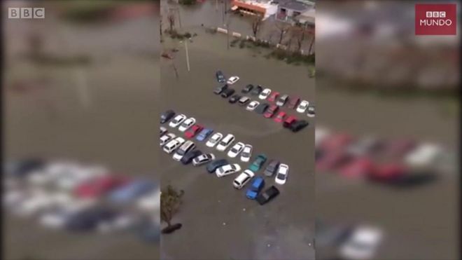 Autos inundados en Puerto Rico
