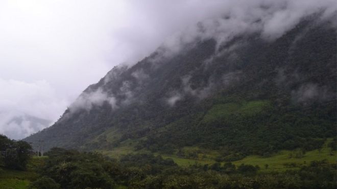 Крутой склон, покрытый лесом и окутанный облаками