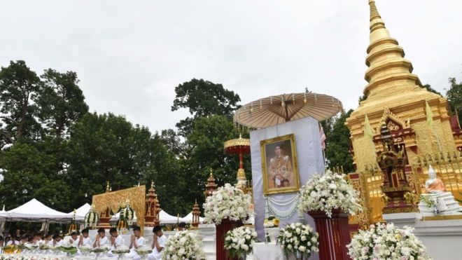 หมูป่ากราบร.10
