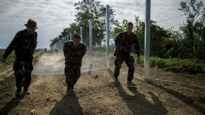 Венгерские солдаты строят временный забор на границе с Хорватией (22 сентября)