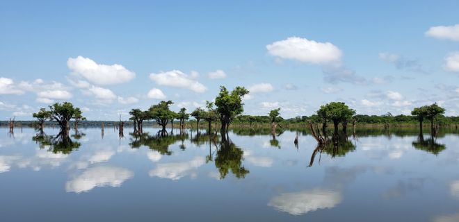 Reserva Sustentável do rio Uatumã, na Amazônia