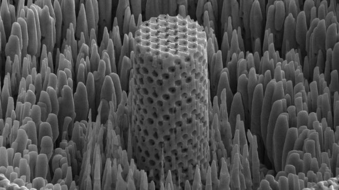 Muestra microscópica de "madera metálica"