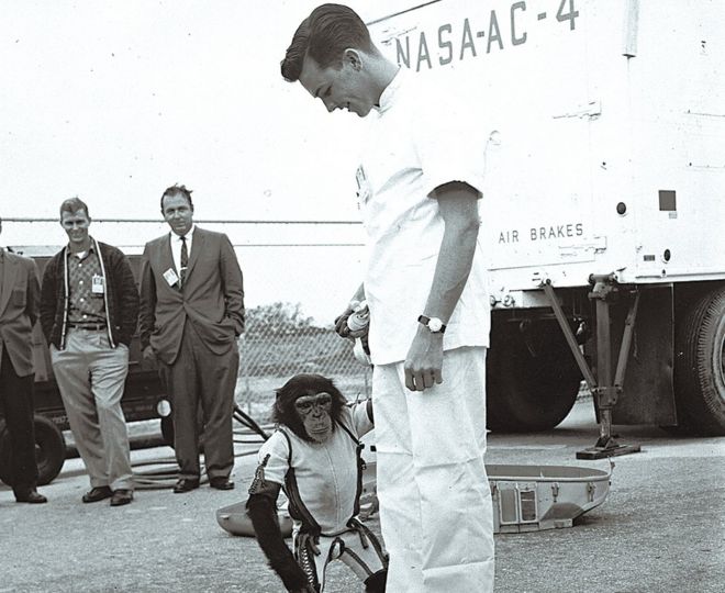 Американский астронавт Алан Шепард с шимпанзе Хэмом, который предшествовал ему в космосе