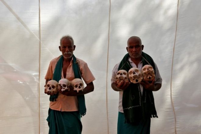 Фермеры из южного штата Тамил Наду демонстрируют черепа, которые, как они утверждают, являются останками тамильских фермеров, покончивших жизнь самоубийством, во время акции протеста, требующей от федерального правительства пакета помощи в борьбе с засухой, в Нью-Дели, Индия, 22 марта 2017 года.