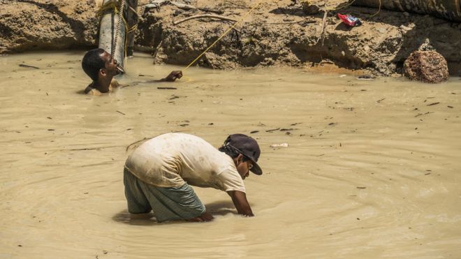 Работники золотодобывающего предприятия трудятся в грязной воде в районе Мазаруни в Гайане