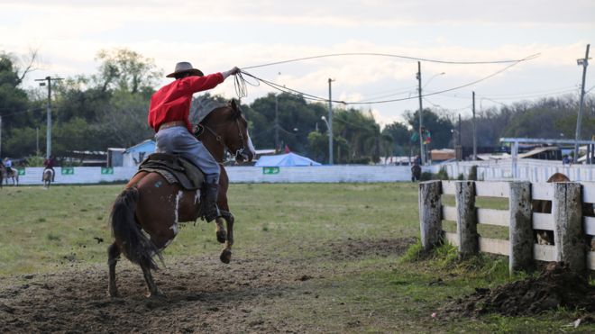 Мужчина едет на лошади с лассо в руке во время родео