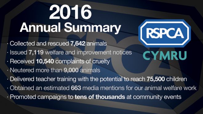 Графика для ежегодного резюме RSPCA Cymru