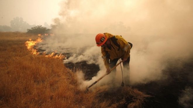 Пожарный борется с пожаром в Калифорнии